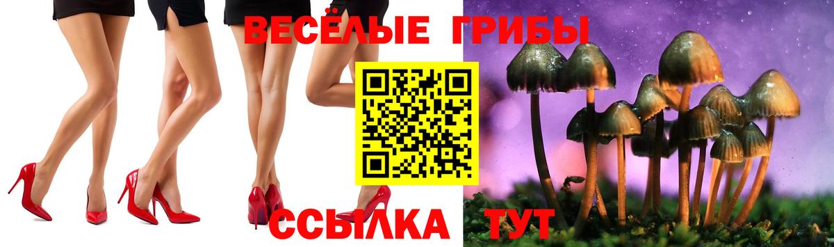 Псилоцибиновые грибы Psilocybine cubensis  Вход с VPN  Галлюциногенные грибы GOLDEN TEACHER  Полевской 